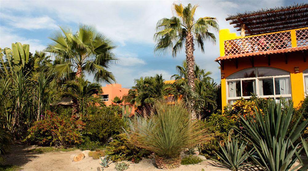 Hotel Posada La Poza Todos Santos Eksteriør billede