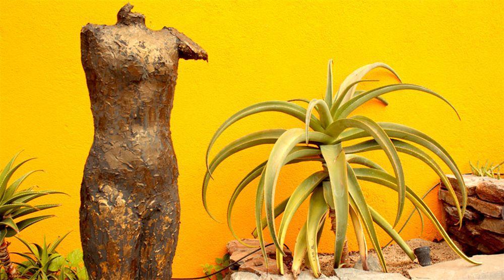 Hotel Posada La Poza Todos Santos Eksteriør billede